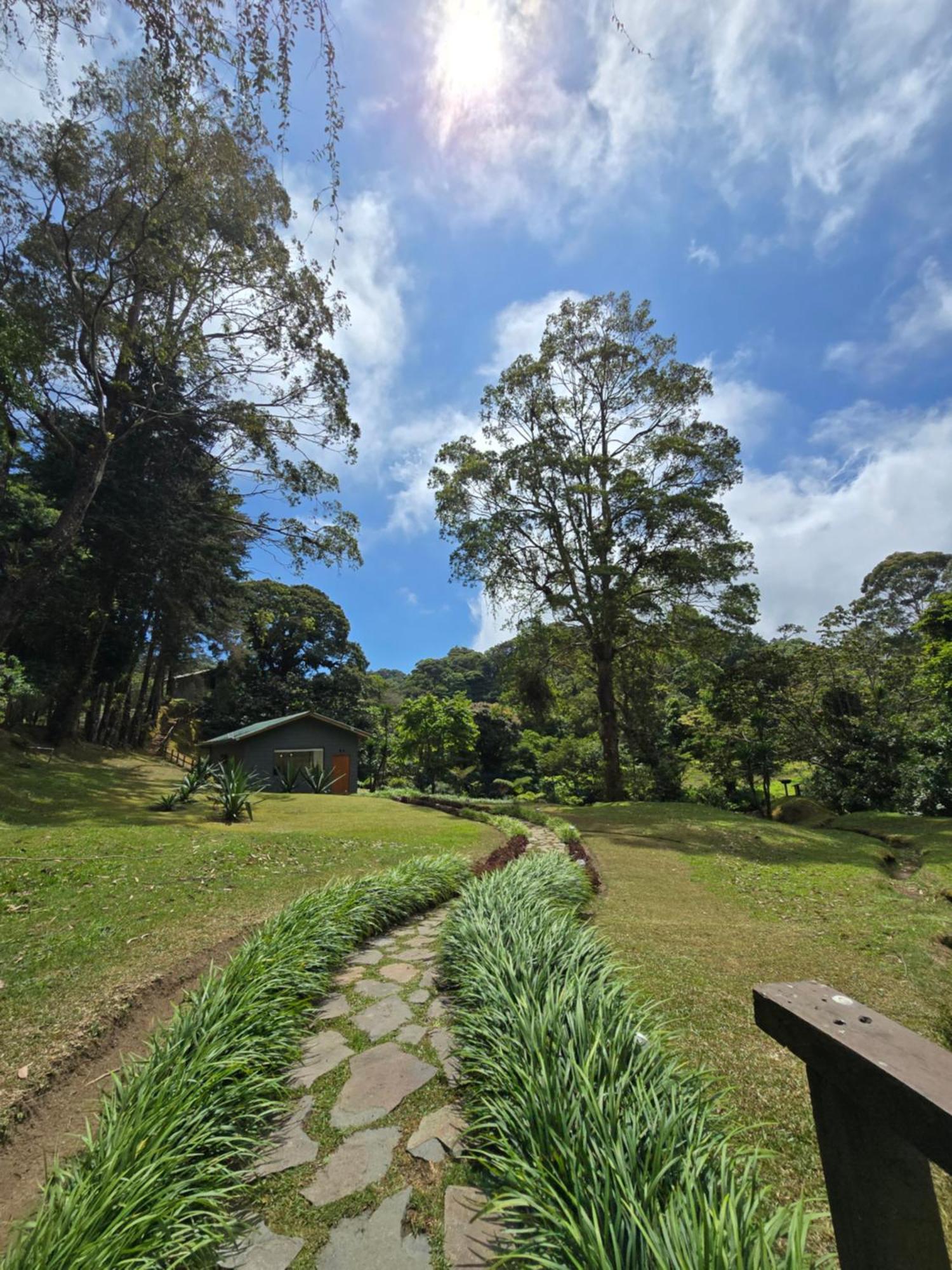 Monteverde Casa Mia, Near Main Attractions And Town! Zewnętrze zdjęcie